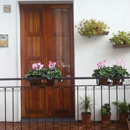 Guest House Le Ginestre Dell'Etna Belpasso Exterior photo