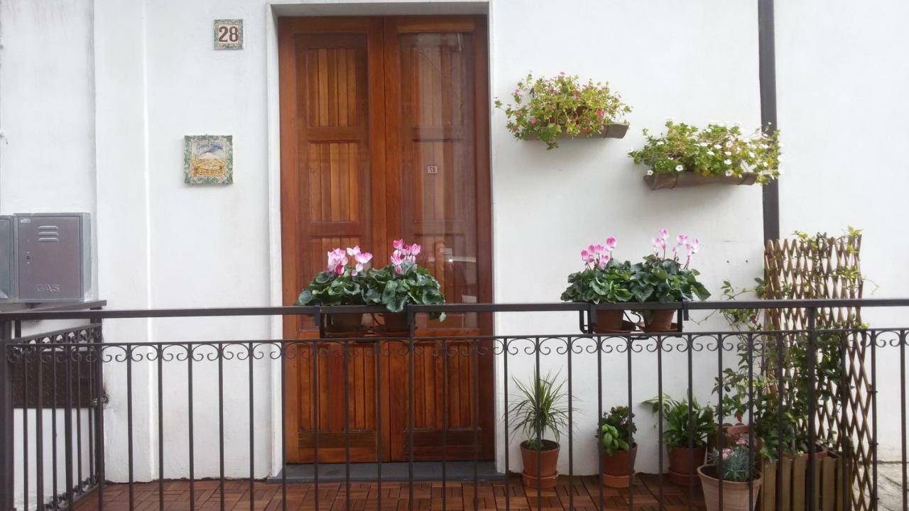 Guest House Le Ginestre Dell'Etna Belpasso Exterior photo